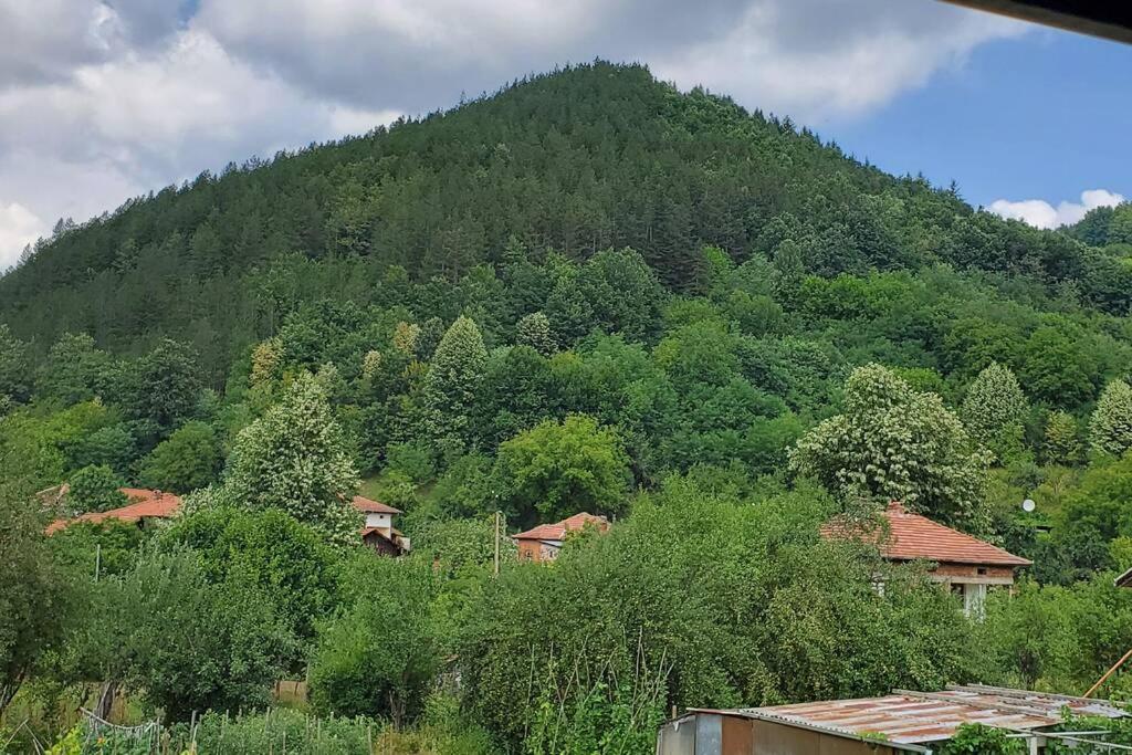 Двете Къщи В Планината Villa Beli Osŭm Dış mekan fotoğraf